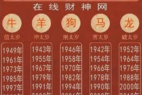 24年什么年